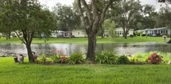 A retirement community were people age and die, move to assisted care, always coming and going.