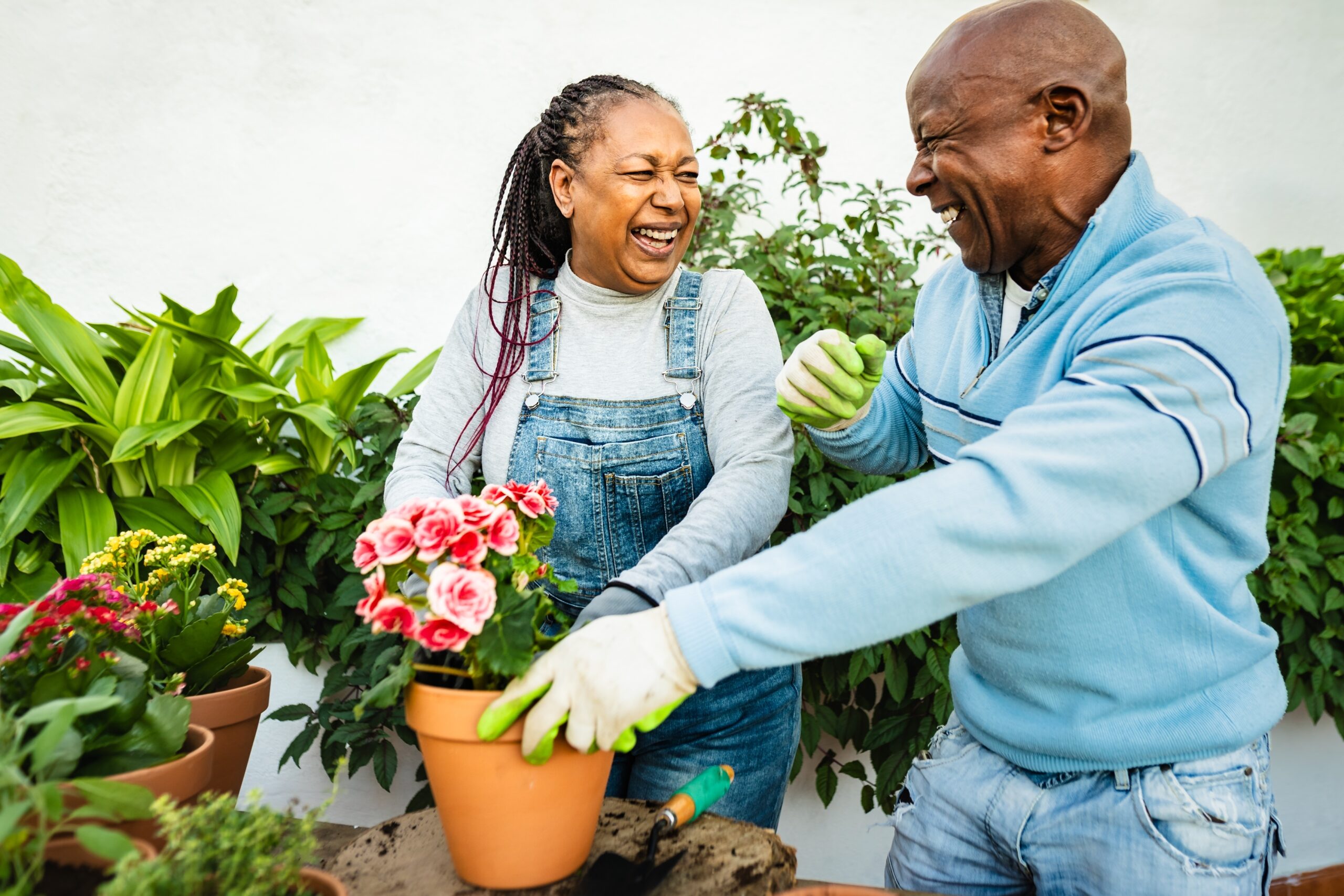 Happy,African,Senior,People,Gardening,Together,Outdoor